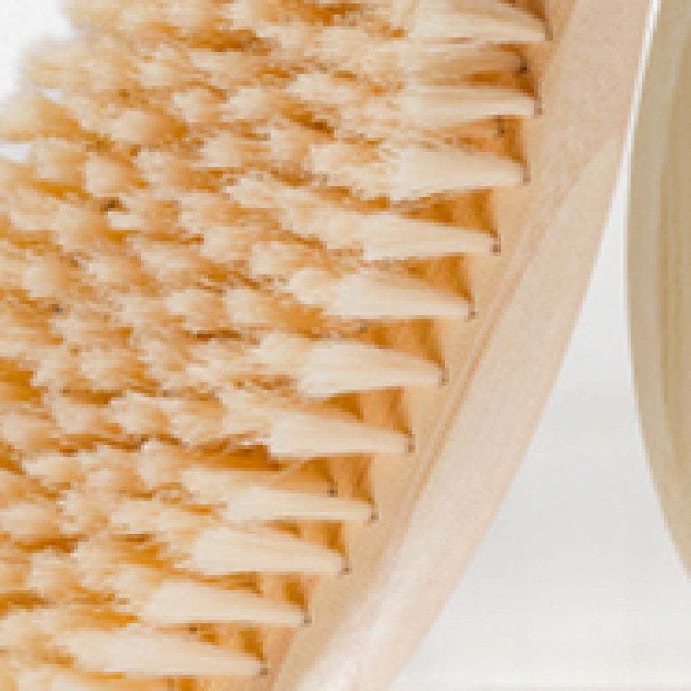 Bath Brush Single Pack Exfoliating