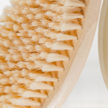 Bath Brush Single Pack Exfoliating